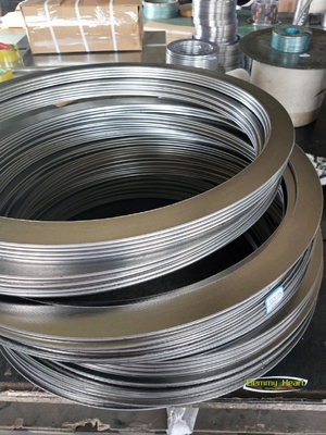 Segmentação de flange simplificada com desempenho de temperatura de jantes de grafite puro expandido